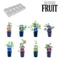 Fruit plants MIX