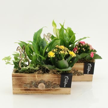 Kомпозиции Пасха