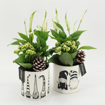 Aranżacja Boże Narodzenie