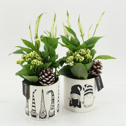 Arrangement Christmas