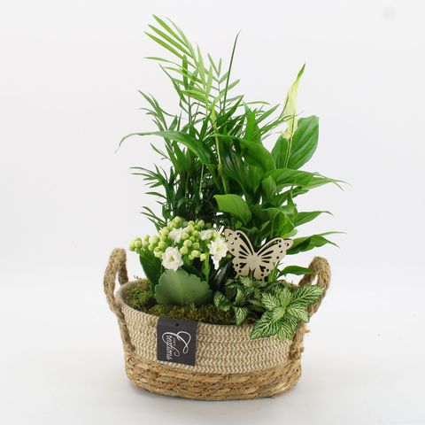 Arrangement Basic Fundamentals