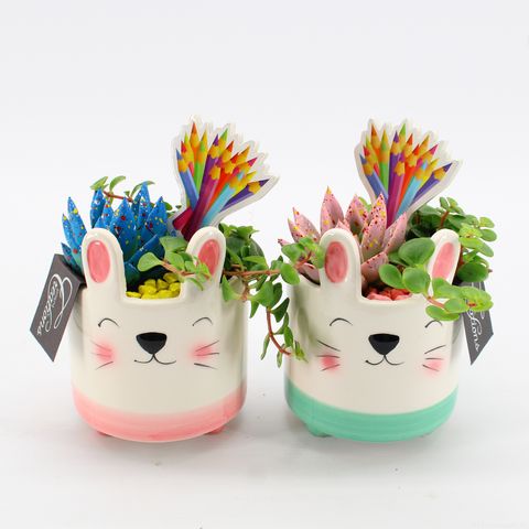 Arrangement Back to school