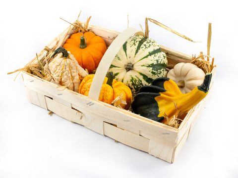 Аранжування Cucurbita