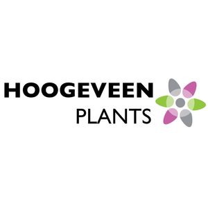 Hoogeveen Plants