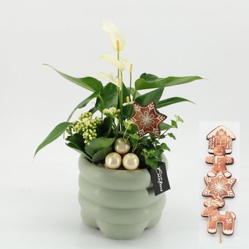 Arrangement Christmas