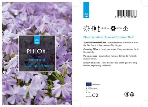 Phlox 'Emerald Cushion Blue'