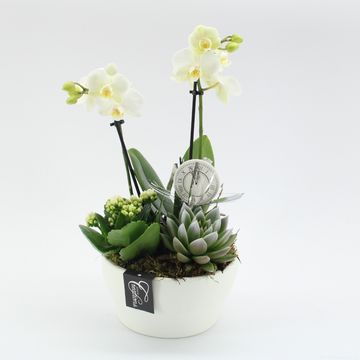 Arrangement New Year