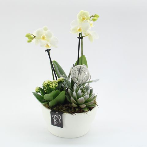 Arrangement New Year