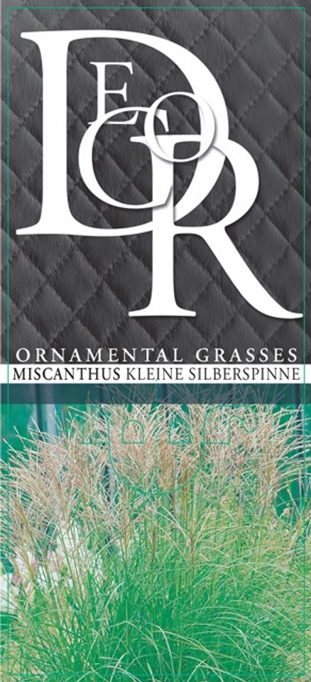 Grasses MIX