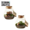 Composizione Terrarium