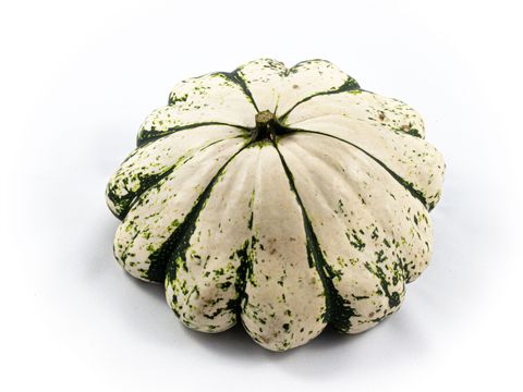 Cucurbita pepo PATISSON PANACHÉ MIX