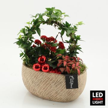 Arrangement Christmas