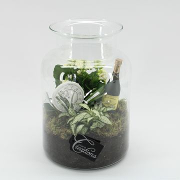 Arrangement New Year