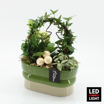 Arrangement Christmas