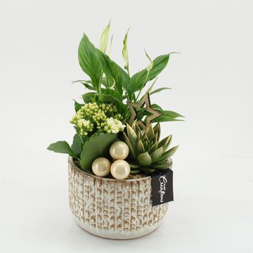 Arrangement Christmas