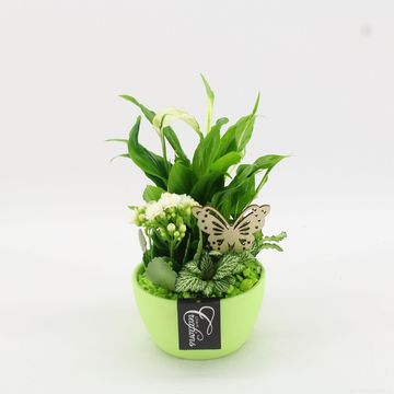 Arrangement Basic Fundamentals