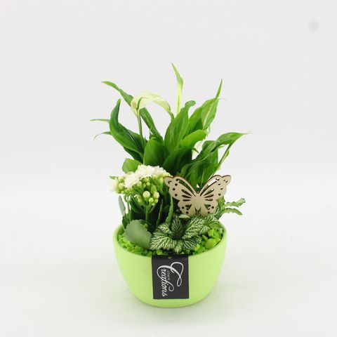 Arrangement Basic Fundamentals