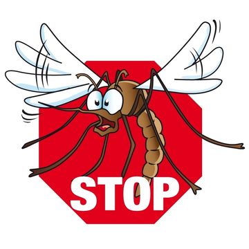 Pelargonium crispum 'Lemona'