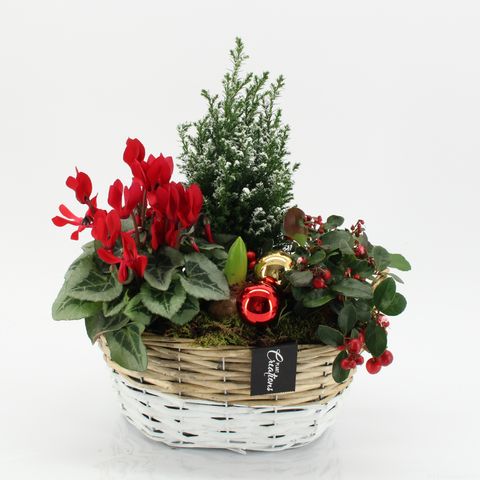 Arrangement Christmas