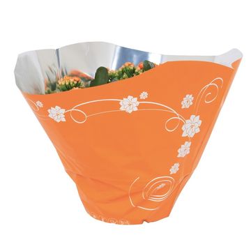 Kalanchoe blossfeldiana PERFECTA ORANGE