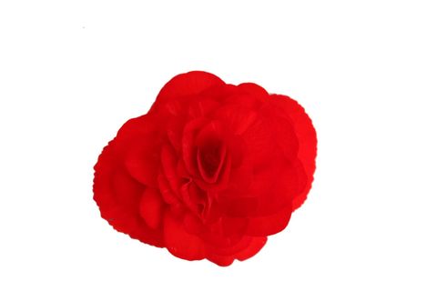 Begonia 'Fortune Scarlet Red'