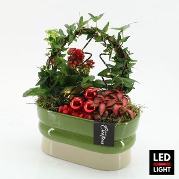 Arrangement Christmas