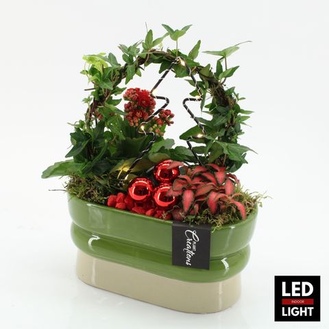 Arrangement Christmas