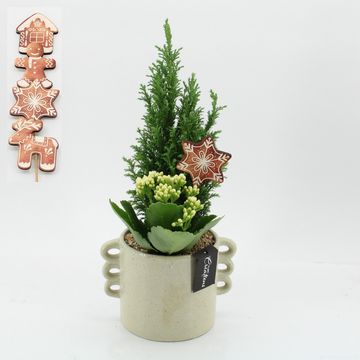 Arrangement Christmas