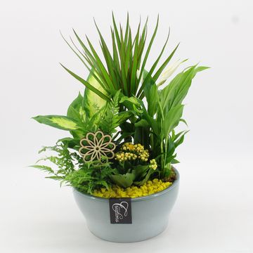 Arrangement Basic Fundamentals