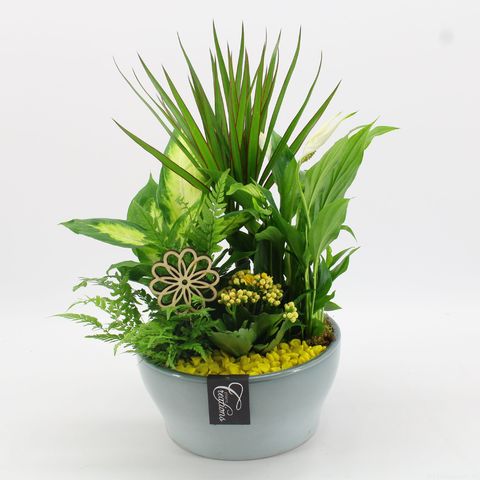 Arrangement Basic Fundamentals