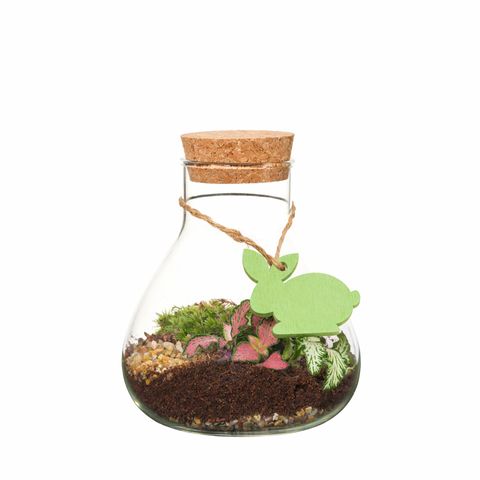 Arrangement Terrarium Easter
