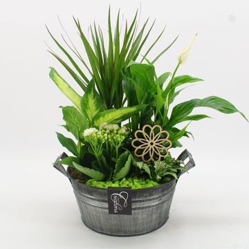 Aranżacja Basic Fundamentals