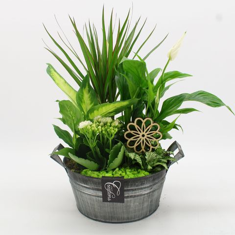 Ετοιμασίες Basic Fundamentals