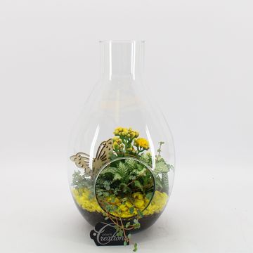 Düzenlemeler Basic Fundamentals Terrarium