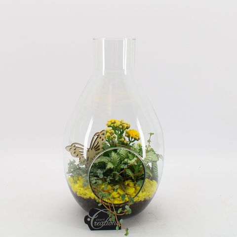 Arrangement Basic Fundamentals Terrarium