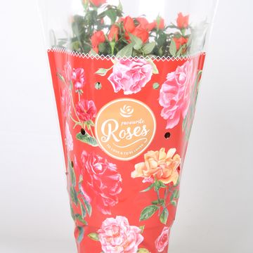 Rosa FAVOURITE ROSES ORANGE