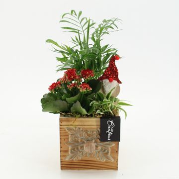 Arrangement Christmas