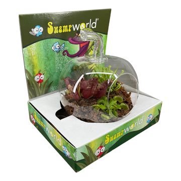 Carnivorous plants MIX