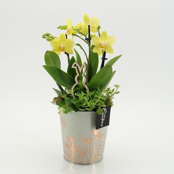 Kомпозиции Пасха