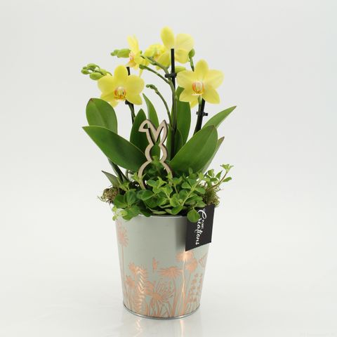 Kомпозиции Пасха