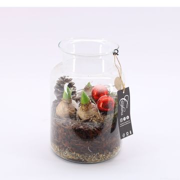 Arrangement Christmas