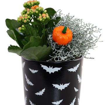 Arrangement Halloween