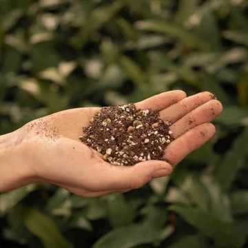 Substrates CACTI / SUCCULENTS MIX