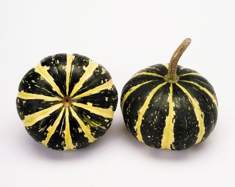 Cucurbita pepo 'Flat Striped'