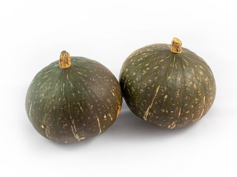 Cucurbita maxima 'Hokkaido'