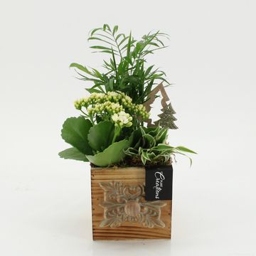 Arrangement Christmas