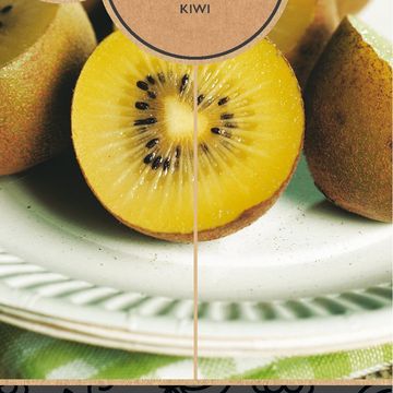 Actinidia deliciosa 'Golden Kiwi'