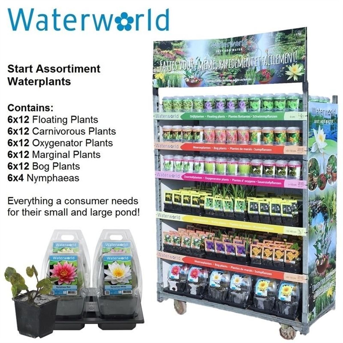 AquaticplantsMIX