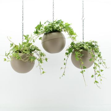 Ετοιμασίες Indoor Hedera Mix