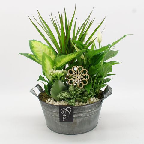 Arrangement Basic Fundamentals